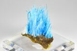 Vibrant Blue Chalcanthite - Planet Mine, Arizona #181703-4